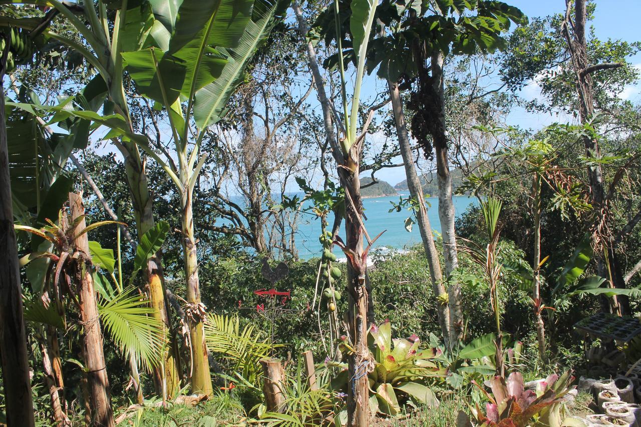 Canto De Paz Trindade Hospedagem Hotel Eksteriør billede